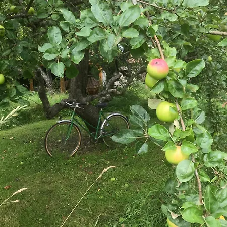 L'esprit Apartmán *